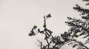 Photo Les prvisions mtorologiques du samedi 27 septembre 2025  ...