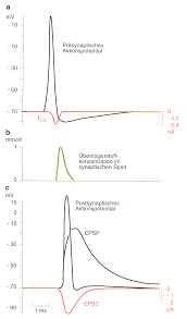 Https Www Researchgate Net Profile Gernot Hering Publication 30019897 Uber Mechanische Und Elektrophysiologische Eigenschaften Von So Genannt Langsamen Und Schnellen Muskeln Eine Untersuchung Am Mquadriceps Femoris Von Marathonlaufern Sprintern Volleyballspielern Und Links 58b9e1f345851591c5dc7463 Ueber Mechanische Und Elektrophysiologische Eigenschaften Von So Genannt Langsamen Und Schnellen Muskeln Eine Untersuchung Am Mquadriceps Femoris Von Marathonlaeufern Sprintern Volleyballspielern Pdf