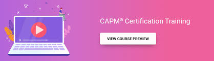the professional advantages of the capm