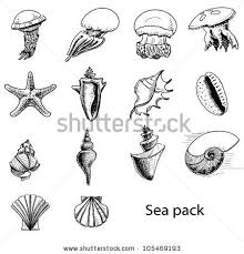 Collection Of Sea Animals Hand Drawing Sketch Vector Illustration Sea Creatures Drawing Sea Animals Drawings Pencil Drawings Of Animals