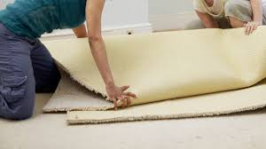Not all carpets are created equal, however. Bed Bugs In Carpet Can Bed Bugs Live In Carpet Pest Samurai