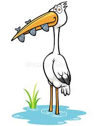 Let's look at some of their various fishing techniques. Bird Eating Fish Stock Illustrations 168 Bird Eating Fish Stock Illustrations Vectors Clipart Dreamstime
