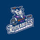 Jackson Rockabillys vs. Thrillville Thrillbillies