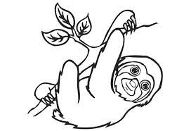 This below coloring sheet dimension is around 600. Sloth Coloring Pages 100 Pictures Free Printable