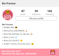 How To Write Best Instagram Bio Ideas Tips And Example Bio Quotes Insta Bio Instagram Bio