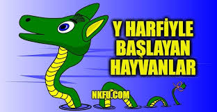 Y Harfiyle Baslayan Hayvanlar Isimleri Listesi Ozellikleri Y Ile Hayvan Ismi Nkfu