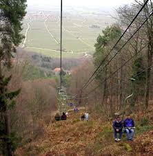 Der staatlich anerkannte luftkurort edenkoben lädt sie herzlich ein, sich selbst ein bild von der weinfrohen stadt zu machen. Edenkoben Illegale Mullhalde Bei Rietburgbahn Pfalz Express