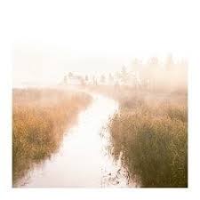 Ready To Hang Wall Art Framed Pictures Poster Ikea Afbeeldingen