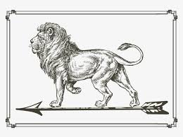 This free step by step lesson progressively builds upon each previous step until you. This Graphics Is The Lion Is In The Arrowhead About Lion Full Body Drawing 800x568 Png Download Pngkit