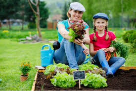 Flowers to grow with vegetables. How To Grow Vegetables And Flowers Together Pineca Com