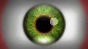 Image result for illusion pictures