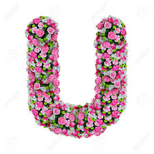 Alphabet knowledge assessment recognizing letters: U Flower Alphabet Isolated On White With Clipping Path Stock Photo Picture And Royalty Free Image Image 11854412
