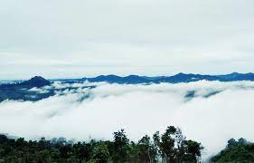Taman wisata ds.pulau buayo kabupaten sarolangun, jambi. Taman Wisata Ds Pulau Buayo Kabupaten Sarolangun Jambi 3