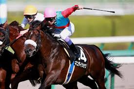 函館スプリントステークス2017出走予定馬・予想オッズ日程:2017.6.18 賞金順出走馬可能頭数:16頭 予想 ｵｯｽﾞ 出走予定馬 想定 騎手 厩舎 … オメガヴェンデッタ武豊騎手2番人気！ ã‚¯ã‚¤ãƒ¼ãƒ³ã‚¹ãƒ†ãƒ¼ã‚¯ã‚¹2020äºˆæƒ³ è¿½ã„åˆ‡ã‚Šå¾Œåˆ†æž æœ­å¹ŒèŠå˜èµ°ã§ç´ è»½ã•æº€ç‚¹ã®å‹•ãæŠ«éœ² å¥½ç›¸æ€§ã®ã‚³ãƒ¼ã‚¹ã¸ã®å ´æ›¿ã‚ã‚Šã¨è·é›¢çŸ­ç¸®ã‚‚è¿½ã„é¢¨ã«ãªã‚‹ã‚¢ãƒŽé¦¬ã‚'æœ¬å'½ã«æŠœã¦ã ãƒ¬ãƒƒãƒ‰ã‚¢ã‚¿ãƒƒã‚¯ã®ç«¶é¦¬äºˆæƒ³ãƒ–ãƒ­ã‚°