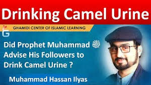 Muhammad, peace and blessings be upon him, was sent to teach us the religious law (sharia). Did Prophet Muhammad ï·º Advise His Followers To Drink Camel Urine Muhammad Hassan Ilyas Youtube