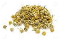 Get dried chamomile flowers at best price from dried chamomile flowers sellers & suppliers in india. Dried Chamomile Flowers Dried Chamomile Flower Suppliers Dried Chamomile Flowers Selling Companies