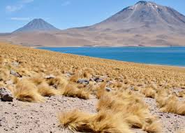 Check spelling or type a new query. Things To Do In San Pedro De Atacama In The Atacama Desert