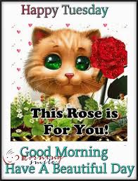 Rose For Happy Tuesday Good Morning Quote Tuesday Quotes Good Morning Cute Good Morning Images Happy Tuesday Morning