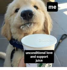 Me Unconditional Love And Support Juice Juice Meme On Me Me