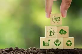 Carbon Credit Trading: A Step Towards a Sustainable Future