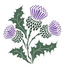 Scottish Thistle Vector Images Over 200 A scottish thistle taken on the gala hill. vectorstock