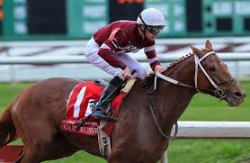 Does Birth Order Matter In The 2016 Kentucky Derby Pedigree Power Horses Derby Horse Horse Racing