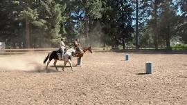 "Precision and Partnership" Horsemanship Clinic