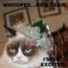 Timeline Photos For The Love Of Pets Facebook Grumpy Cat Grumpy Cat Humor Cats