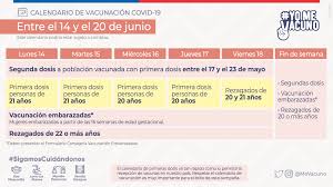 2019 vacunación del lactante edad vacuna protege contra bcg enfermedades invasoras por m. Calendario De Vacunacion Masiva Contra Covid 19 Ministerio De Salud Gobierno De Chile