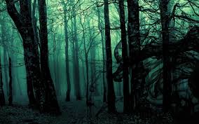We did not find results for: 20 Forest Hd Wallpapers Background Images
