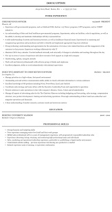 chief revenue officer resume sample