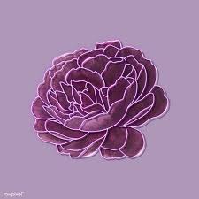 1080x1920 aesthetic iphone purple wallpapers top aesthetic iphone. Download Premium Vector Of Purple Neon Rose On A Purple Background Vector Purple Backgrounds Blue Bell Flowers Flower Aesthetic