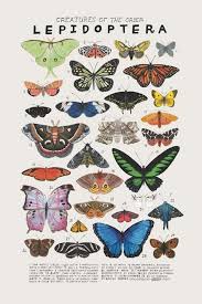 Daniel Rolla (danielrolla509)」のプロフィール｜Pinterest