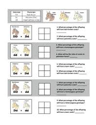 Situation in which both alleles of a gene contribute to the phenotype of the organism. Punnett Square Practice Codominance And Incomplete Dominance Punnett Squares Biology Classroom Middle School Biology Lessons