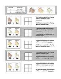 The inheritance of alleles, which are not completely dominant or recessive, gives rise to the two concepts called codominance and incomplete dominance. Punnett Square Practice Codominance And Incomplete Dominance Punnett Squares Biology Classroom Middle School Biology Lessons