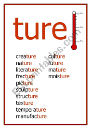 Download free, printable phonics worksheets and activities on a variety of topics such as click on the category or resource type below to find printable phonics worksheets and teaching activities. Ture Reading Worksheet Esl Worksheet By Kinniejane In 2021 Reading Worksheets Ture Words English Lessons For Kids