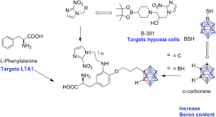 Maybe you would like to learn more about one of these? A Periodic Development Of Bpa And Bsh Based Derivatives In Boron Neutron Capture Therapy Bnct Chemical Communications Rsc Publishing Doi 10 1039 D0cc06557a