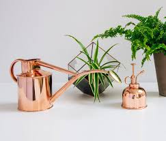 Copper Watering Can And Mister Giftset Watering Can Indoor Watering Can Indoor Plants