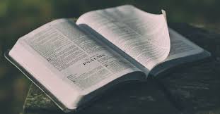 Born 10 april 1973) is a turkish politician of zaza kurdish descent, member of the parliament of turkey since 2007. What Does Selah Mean In The Bible Why Is It Important