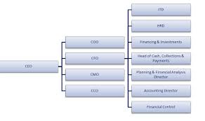 Comprehensive Profile Of A Successful Cfo Pedersen