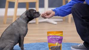 Solid Gold Dog Food Chewy Youtube