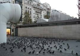 13 Les Riverains Contre Le Nourrissage Des Pigeons A Paris Urbanites
