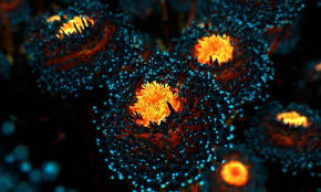 Popular wallpapers on hdwallpapers.net, the best place to find hd hdwallpapers.net is a place to find the best wallpapers and hd backgrounds for your computer desktop (windows, mac or linux). The Best Wallpapers Digital Trends