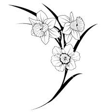 Narcissus Flowers Vector Image On Vectorstock Daffodil Tattoo Narcissus Flower Tattoos Flower Vine Tattoos