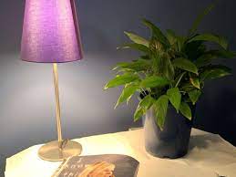 These lights work by producing a light spectrum suitable for you can use indoor grow lights in your house to grow garden plants all year round. Using Artificial Lighting For Your Houseplants