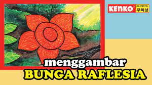 Baunya seperti bangkai maka ada yang menyebutnya bunga bangkai namun nama lain bunga bangkai yang dikenal masyarakat yaitu (amorphophalllus titanum). Menggambar Bunga Raflesia Tutorial On Drawing Rafflesia Flowers Using Oil Pastels Youtube
