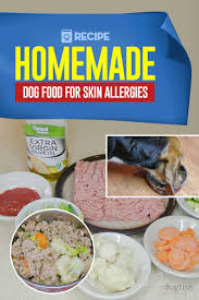 homemade dog food recipe for skin allergies