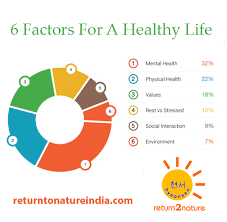 What can we help you find? 6 Factors For A Healthy Life Healthy Life Health Drinks Detox Healthy Lifestyle
