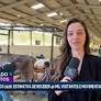 Expomercô 2026 and Campinas Municipal Initiatives Drive Business Growth in Brazil