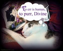 The sound of a purring cat is one of the most comforting sounds available and can help soothe and calm you down when you're feeling stressed. Cat Purrs 101 From Pleasure To Pain Cat Wisdom 101 Everything Feline Since 2011